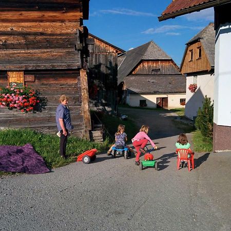 Sankt Peter am Kammersberg Rettlhof 빌라 외부 사진