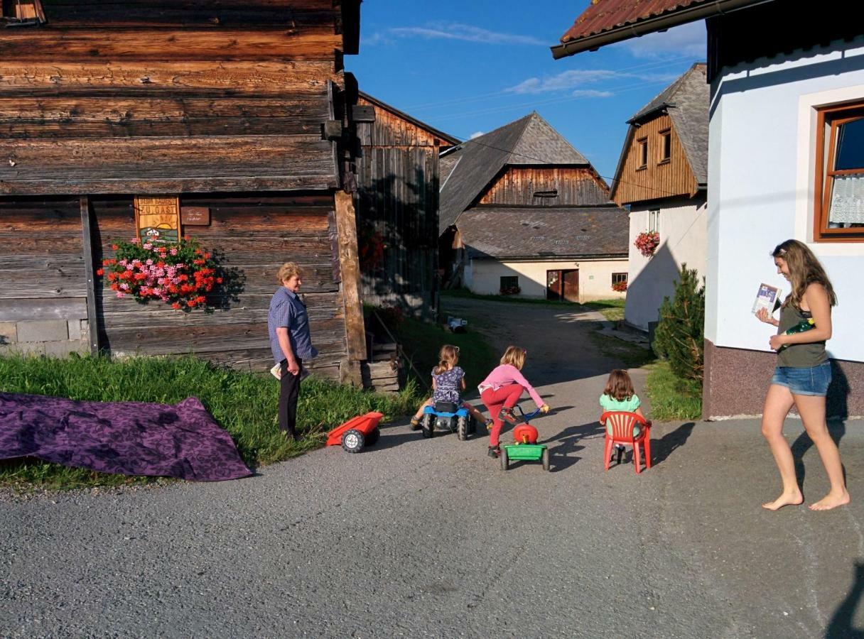 Sankt Peter am Kammersberg Rettlhof 빌라 외부 사진