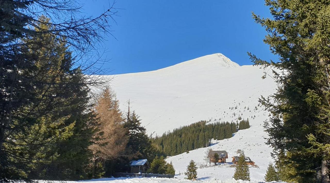 Sankt Peter am Kammersberg Rettlhof 빌라 외부 사진